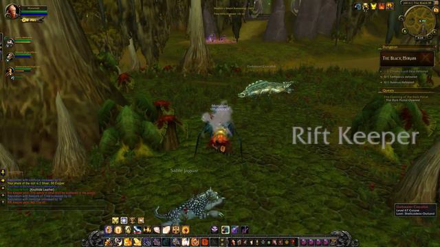 The Black Morass "Opening of the Dark Portal" complete Dungeon with Quest (WoW, human, Paladin) смотреть онлайн