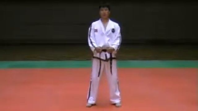 21. 4-й Дан. Мун-Му Туль / Moon-Moo Tul (Pattern) - Taekwon-Do ITF. New techniques. смотреть онлайн