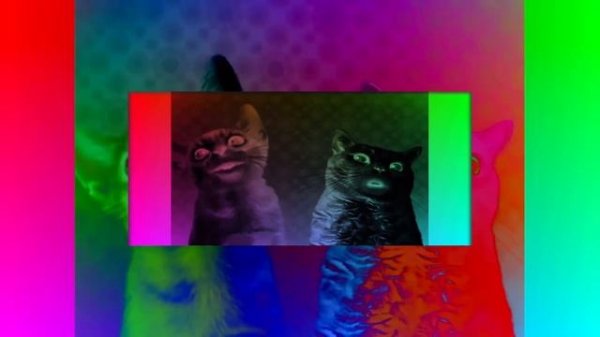 Preview 2 Numa cats effects (Sponsored By Preview 2 effects) 2 videos