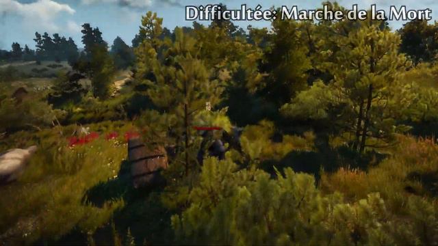 The Witcher 3: Mods - Dark Souls 2 Gamepad Remapping смотреть онлайн