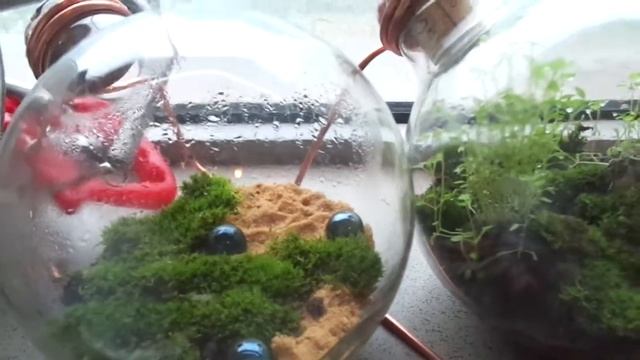 ТЕРРАРИУМЫ смотреть онлайн