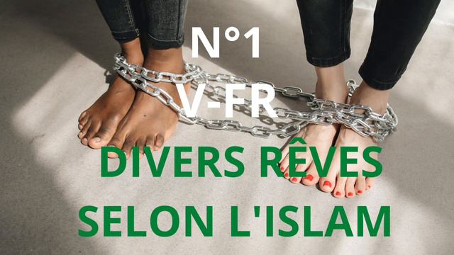 DIVERS RÊVES SELON L'ISLAM PARTIE 01 VERSION FRANÇAISE EPAR CHEIKH BAKARI SALAH KONE AL_FAWZANI смотреть онлайн