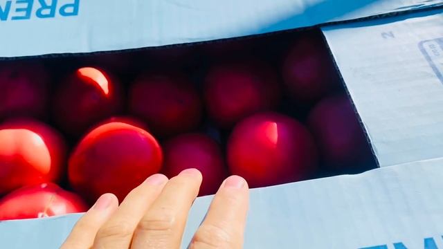 Ціни на Ринку Водяне Кам'янка Запорізька область смотреть онлайн