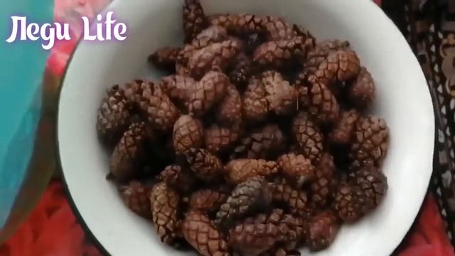 Как заготовить шишки для шиншилл! смотреть онлайн