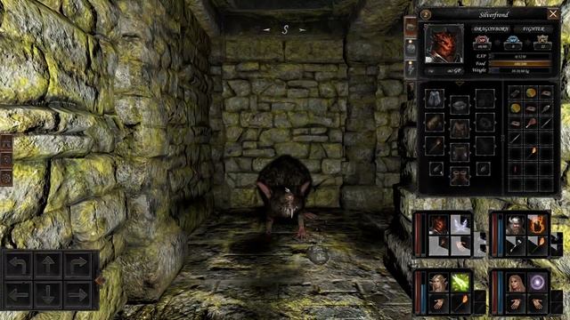 Dungeon of Dragon Knight-Let's play Dungeon Rat смотреть онлайн