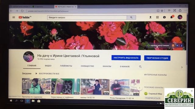 Как сделать заказ саженцев на сайте садового центра "Северин" смотреть онлайн