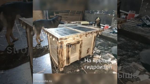 strojnasto.ru - Будка для Кошки или Маленькой Собачки смотреть онлайн