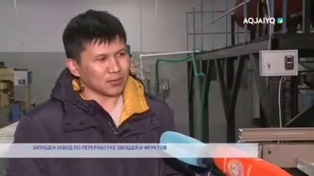 В ЗКО запущен завод по переработке овощей и фруктов смотреть онлайн