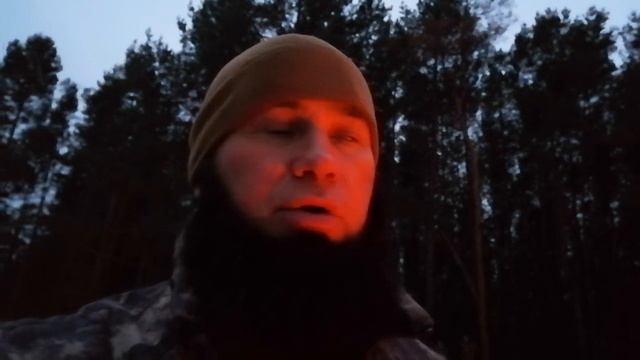 Сохрани себе жизнь! Вернись из леса, туда , откуда ты пришел... 08.12.19.г. смотреть онлайн