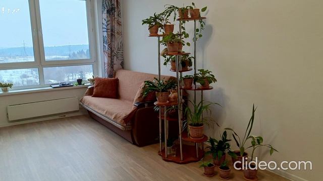 Вертикальное озеленение ч.2 смотреть онлайн