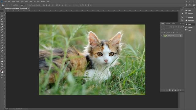 How to Resize an Image in Photoshop смотреть онлайн