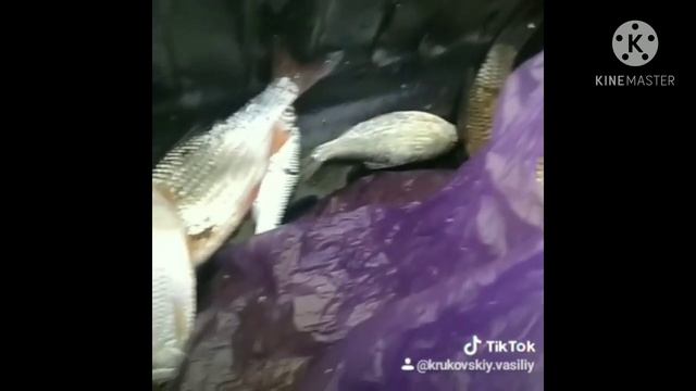 Зимняя рыбалка 2020-2021 год на цимлянское водохранилище смотреть онлайн