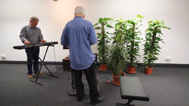 Pflanzenmusikperformance Neuer Worpsweder Kunstverein смотреть онлайн