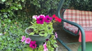 ЛУЧШАЯ ПЕСНЯ ДЛЯ ДЕТЕЙ - "ЛЕСНОЙ ОЛЕНЬ" в исполнении МИЛАНЫ КУРАСОВОЙ