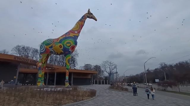 KYIVZOO КИЕВСКИЙ ЗООПАРК FOREVER 2023 смотреть онлайн