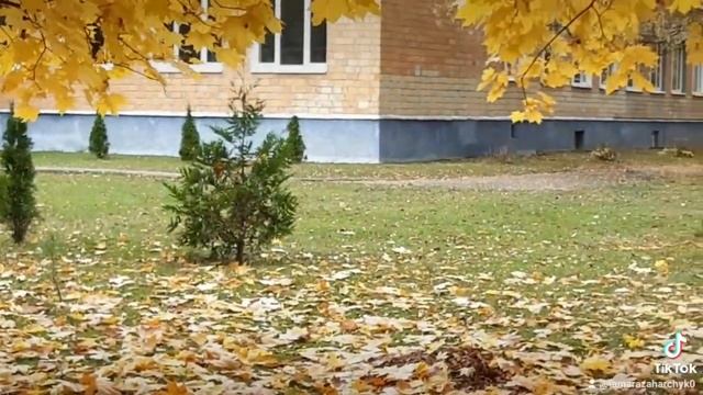 Осенний блюз! Н.Караченцев.с песней"Кленовый лист".Приятного просмотра. подписывайтесь @Tamrico смотреть онлайн