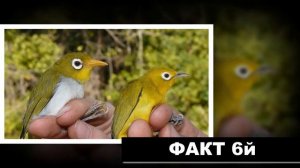 10 интересных фактов. Около 70% площади Земли занимает вода.....