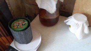 Как вылечить чайный грибок от плесени.