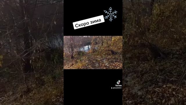 Отдых на Сердобе. смотреть онлайн