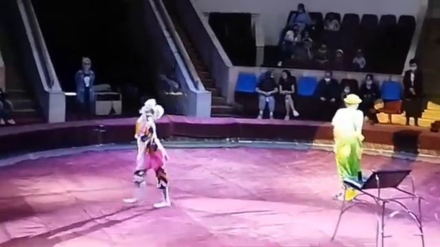 Цирк Цирк Цирк в Ташкенте Супер Красивый смотреть онлайн