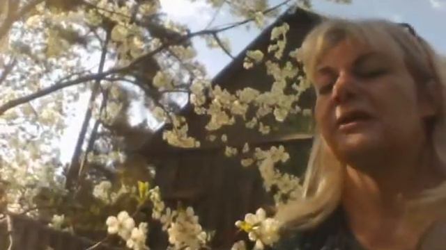 видео для сбора листиков надеревьях от 12=05=15 смотреть онлайн