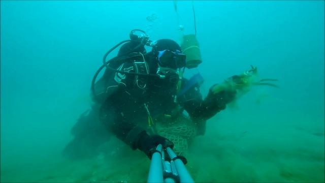 СБОР РАПАНА ! АЗБУКА ДАЙВЕРА РАПАНЩИКА!