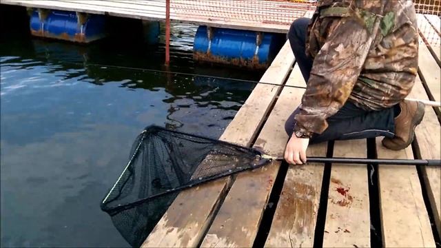 Рыбалка в Подмосковье!!!Клев форели!!!