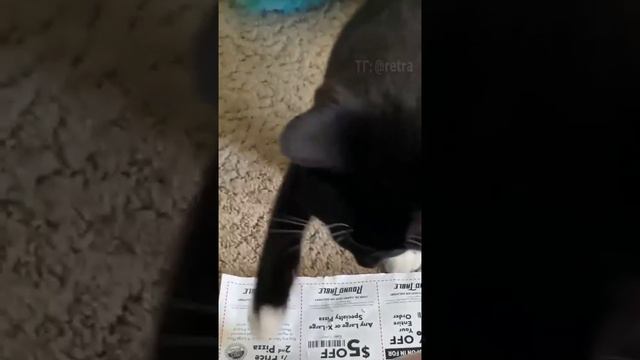 Закажем пиццу?) смотреть онлайн