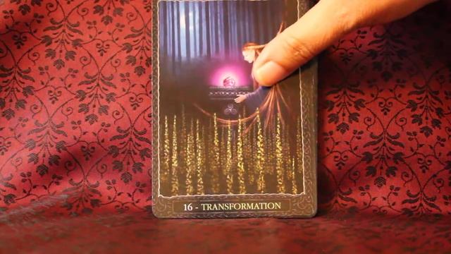 Earth Wisdom Oracle Full Flip Through смотреть онлайн