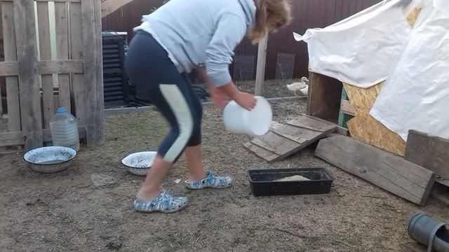 2 СУПЕР рецепта корма для бройлеров, уток и другой птицы от племенной птицефабрики смотреть онлайн