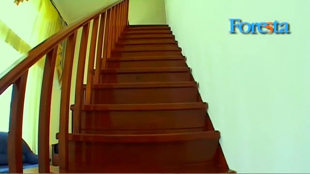 отдых в подмосковном отеле Фореста смотреть онлайн