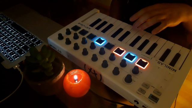 Billie Eilish - bad guy • Cover Looping | Arturia Minilab mk2 смотреть онлайн