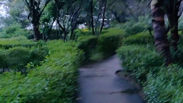 Lotus Eco Resort, Konark | Beach Resort in Odisha | Weekend Gateway| Odisha Tourism смотреть онлайн