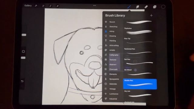 Day27: Fancy Kimchi drawing Rottweiler - 30 day Drawing Challenge смотреть онлайн