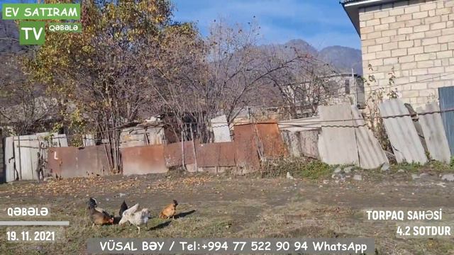QƏBƏLƏDƏ, AXUNDOV KÜÇƏSİNDƏ TORPAQ SAHƏSİ SATILIR/Недвижимость в Габала / EV SATIRAM TV/ BAG EVLERİ смотреть онлайн