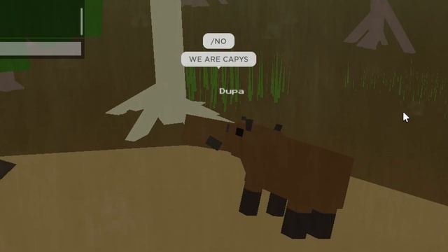 capybara's are Breaking bad - roblox amazon ascension смотреть онлайн