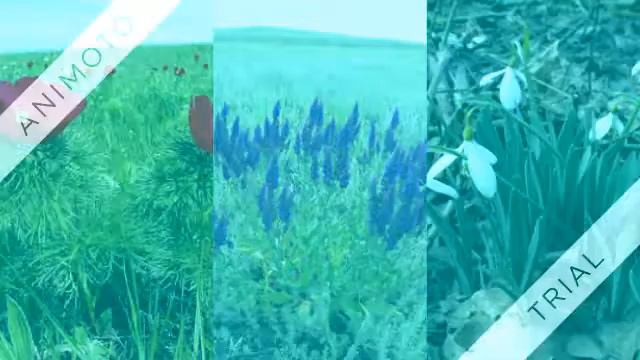 Копия видео "красная книга ставропольского края" смотреть онлайн