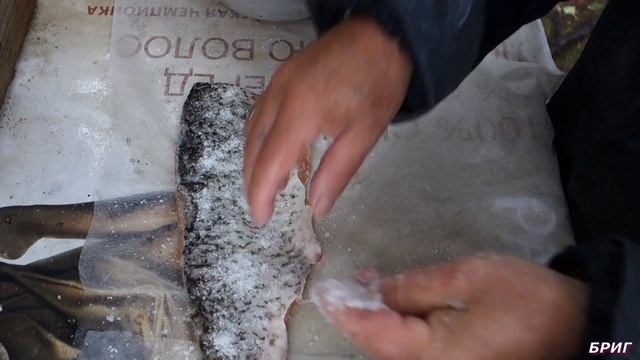 Цирк и Акробатика