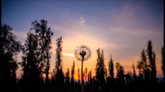 AMBIENT BARITONE GUITAR: QUICK YEARS смотреть онлайн