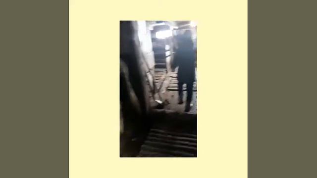 "ДОМАШНИЕ КАРАНТИНКИ"№6 Автор Айыллаана Иванова смотреть онлайн