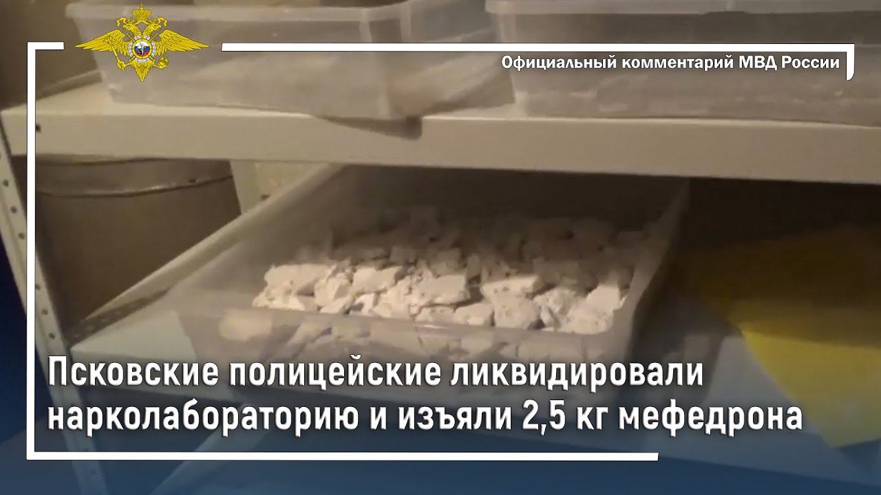 Ирина Волк: Псковские полицейские ликвидировали нарколабораторию и изъяли 2,5 кг мефедрона смотреть онлайн