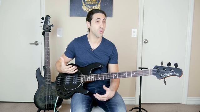 Music Man Stingray H vs HH - Which One Should You Get? смотреть онлайн