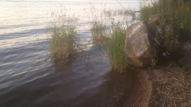 Вуокса, прогресс-2м смотреть онлайн