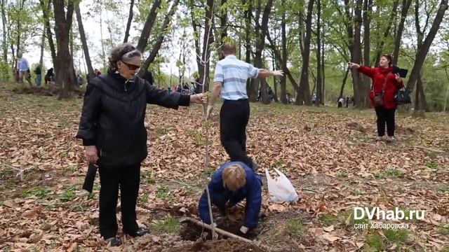 Посадка деревьев пер Матросский видио смотреть онлайн