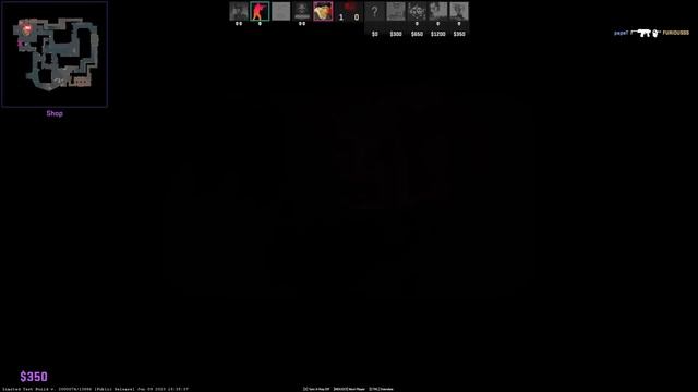 THE CS2 EXPERIENCE смотреть онлайн