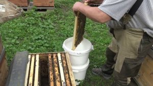 Приспособление для сбора пчелы в нуклеусы