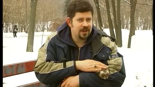Черные хорьки питомника WTS смотреть онлайн