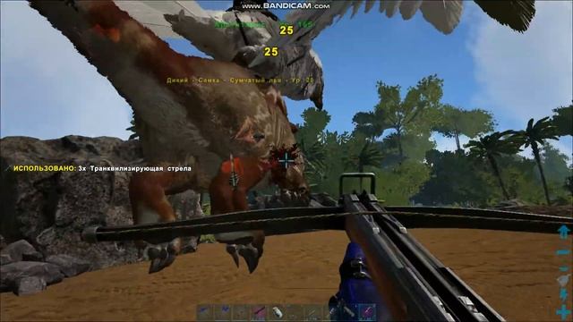 "АRК" "Приручение сумчатого льва и транспортировка вдвоем" смотреть онлайн