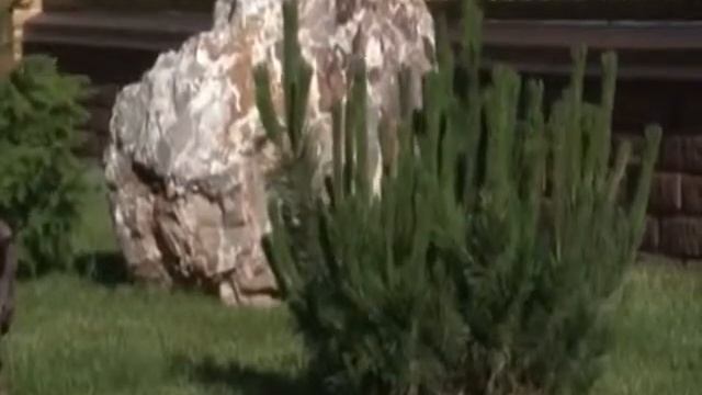 Камень для ландшафта смотреть онлайн