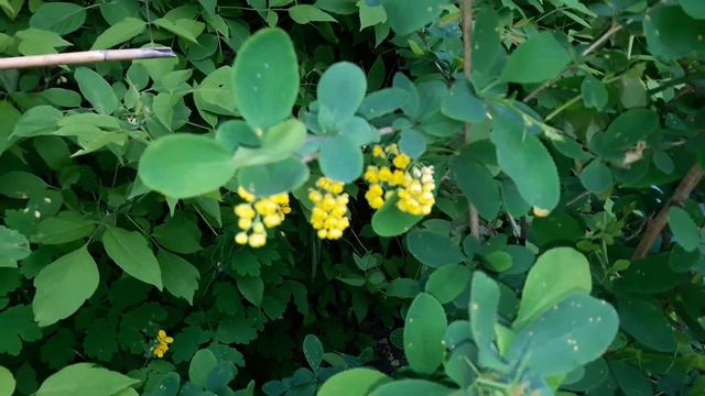 Славянск. 10 мая 2023г. Вечер. смотреть онлайн